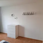 Fusslaeufig Zur Stadt, Smart-tv, Wlan & Platz Fuer Paare & Gruppen * マクデブルク